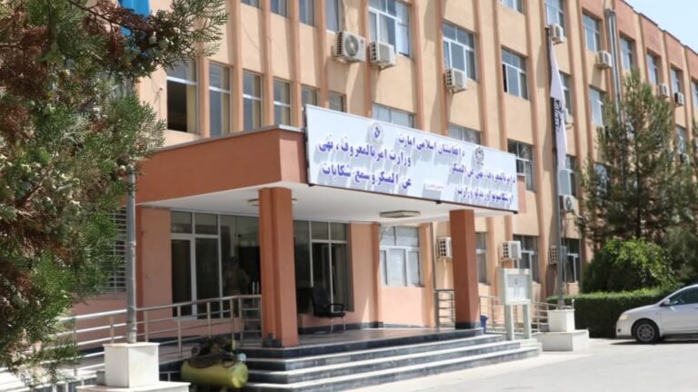 کندهار کې محتسبینو ۹ کوډګر نیولي