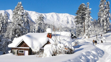 bdec14d7 3897 46dd a05a e5a341803db4