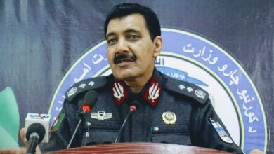 10775379074 b6bc61765b z 1