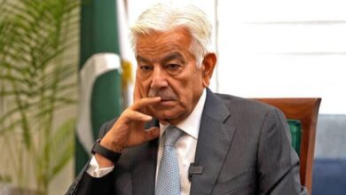 69132d1ce028b 1762864412