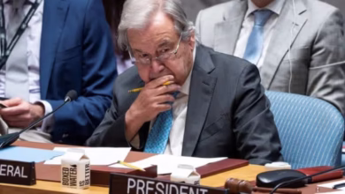 b3907cc1395b856f821cf2f84614fcaf16ba5031 800x533 1