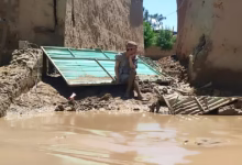 01000000 c0a8 0242 f8a3 08dc7324ec9c w1200 h630