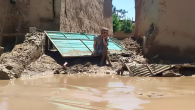 01000000 c0a8 0242 f8a3 08dc7324ec9c w1200 h630