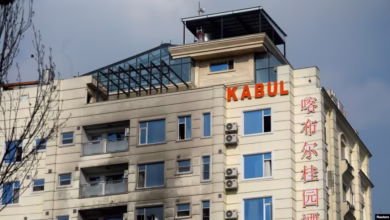 034d0000 0aff 0242 d143 08dadcfa16b3 w1080 h608 s 1