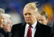 061615trumphair1 960x540