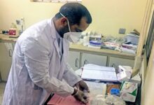 13479250291701416019 1