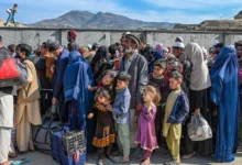 کمیسیون مهاجران از ورود گسترده اخراجشدگان از پاکستان خبر داد 2 1399072 9032401 8h akhbar