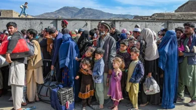 کمیسیون مهاجران از ورود گسترده اخراجشدگان از پاکستان خبر داد 1 1399072 9032401 8h akhbar