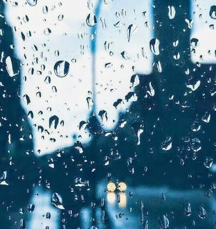 17765105304767031384912802338858 1