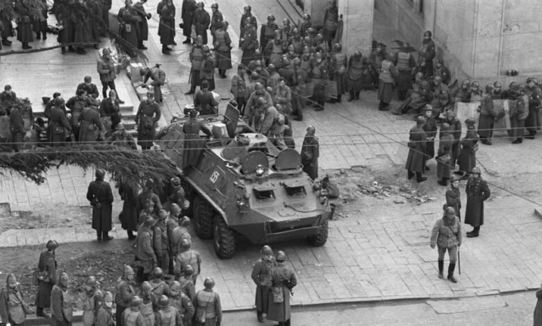 279141712 5175946509165301 2557020245839404647 n