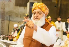 3619eef0 e4b8 11f0 bb8c f5410179a19a.jpg