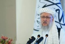 44545 e1777538219976