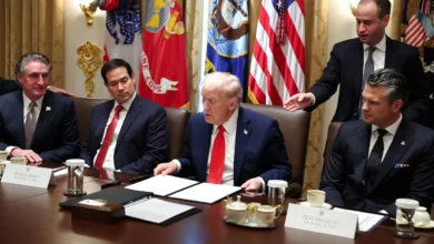 491d1b0e9844fdebc55410be5cb9d6fb