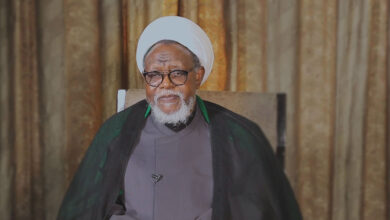 78e6c1da fcbb 4d19 b201 8395d9e0c350