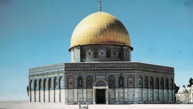 81lhtO2DmkL. AC UF8941000 QL80