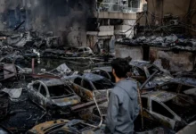 8ebcf361169a80151e62ca452dc8d4365120dc94