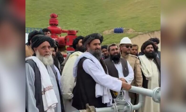 9999999999999 1 e1777359177829