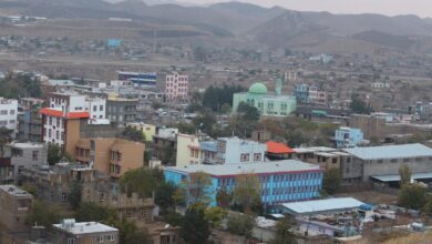 بادغیس کې ۵۰ کلنه دښمني پای ته رسېدلې 6 Badghis 1
