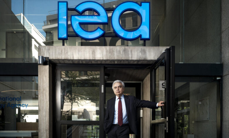 Copy of ©Delporte FatihBirol05