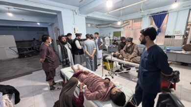 فاجعه هرات؛ زنگ خطری برای وحدت ملی و آزمونی برای مسئولیتپذیری حاکمیت 10 HFjaAV WYAAHD5i