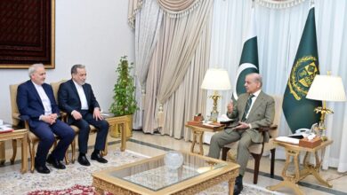 دیدار عراقچی با نخستوزیر پاکستان؛ تأکید بر گسترش روابط و همکاریهای منطقهای 3 HGwbSDjbwAAQ7YD