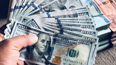 پولیس سرحدی یک مظنون را در پیوند به قاچاق دالر بازداشت کرد 1 IMG 20241015 WA0037 1024x768 1