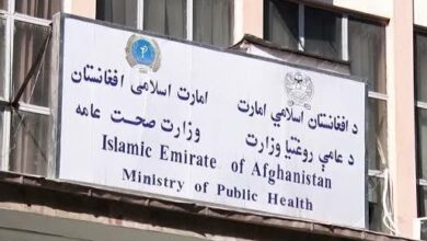 IMG 20250301 212827 366 666x415 1 e1776499253885