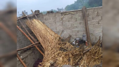 InShot 20260403 153738575 1024x575 1