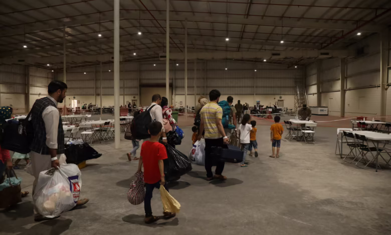 MECTTJLFC5JZ7FICIBLNU3EDJM