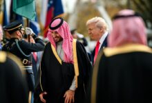 P20251118DT 0166 9a174a