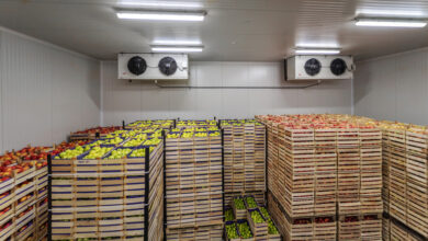 نبود سردخانه و مسیرهای مناسب صادراتی به کشاورزان خسارت وارد کرد 6 South Jersey Food Safe Cold Storage