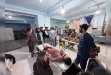 افزایش قربانیان تیراندازی در هرات به ۱۱ تن 2 WhatsApp Image 2026 04 11 at 3.22.43 AM