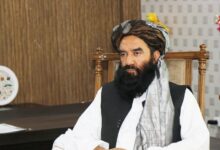 YR3bSTbW 1 e1776942992847