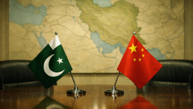 china pakistani flags pc