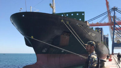 container vessel MS Tiger 1024