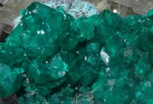 فروش بیش از ۱۱۱ هزار قیراط زمرد پنجشیر در یک سال 2 dioptase a rare and much desired mineral africa the congo v0 7655bbzowk0c1