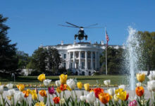 گاردین: امریکا در حال نابود کردن تدریجی خودش است 2 download 1 9