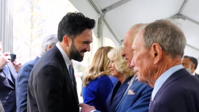 download 3 e1777536720759