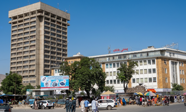 gemini 3 1 flash image preview nano banana 2 web search a دا عکس 8