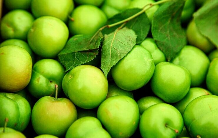 green cherry plums with green leaves background 114579 9414 1