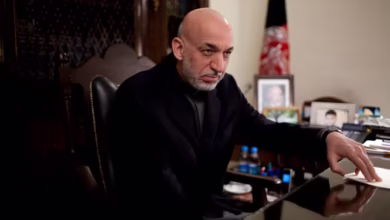 ill 3528116 6e92 010 20131207 15 wendle img 4912