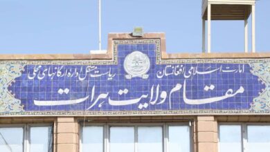 photo 2023 03 06 10 46 47 e1776502145880