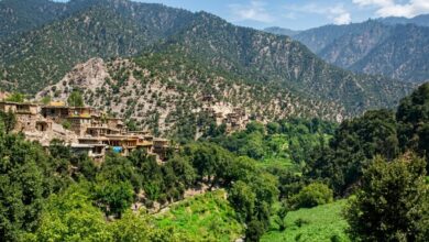 photo 2026 04 06 11 10 21