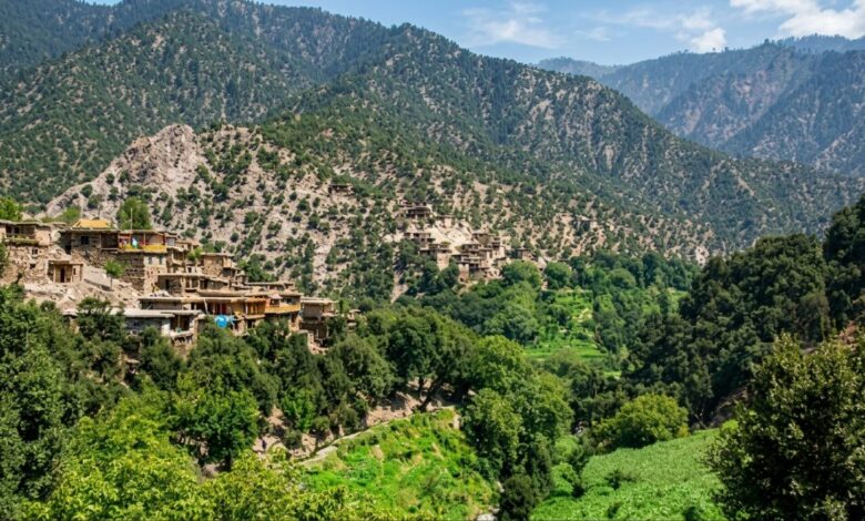 photo 2026 04 06 11 10 21