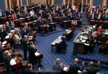 photo 2026 04 08 08 28 26 1