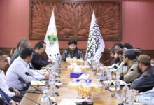 photo 2026 04 16 10 06 13