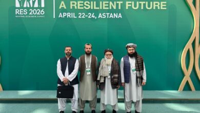 photo 2026 04 25 09 33 51