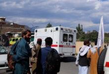 photo 2026 04 28 10 01 20