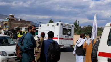 photo 2026 04 28 10 01 20