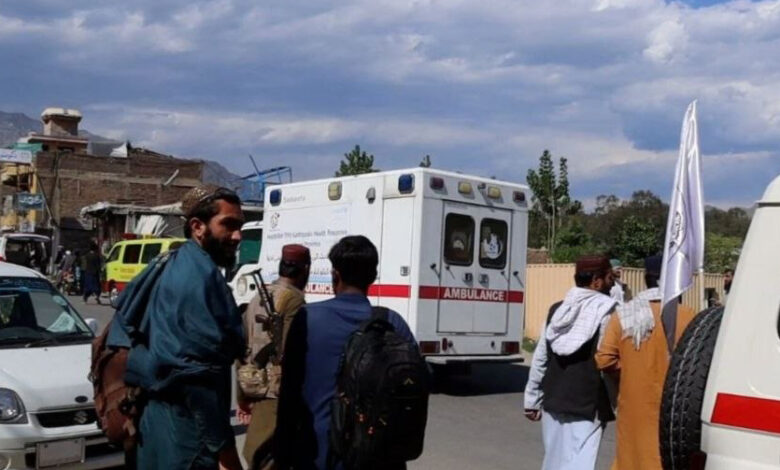 photo 2026 04 28 10 01 20